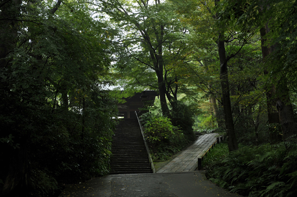 106 MINI2 DSC_3380.jpg